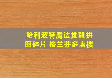 哈利波特魔法觉醒拼图碎片 格兰芬多塔楼